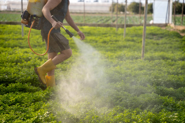 Pest Prevention Services in Talent, OR