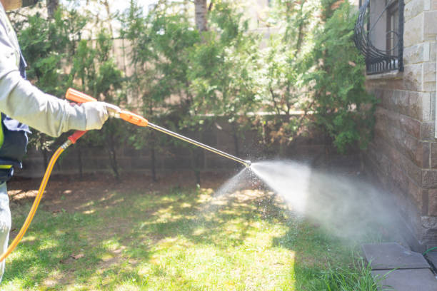 Best Pest Control for Homes  in Talent, OR